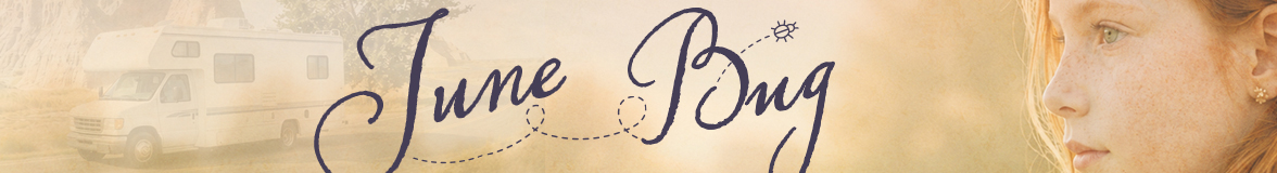 June Bug – Chris Fabry