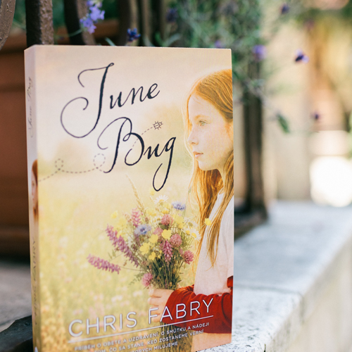 June Bug – Chris Fabry